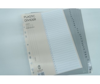 PLASTIC DIVIDER 1-31 A4